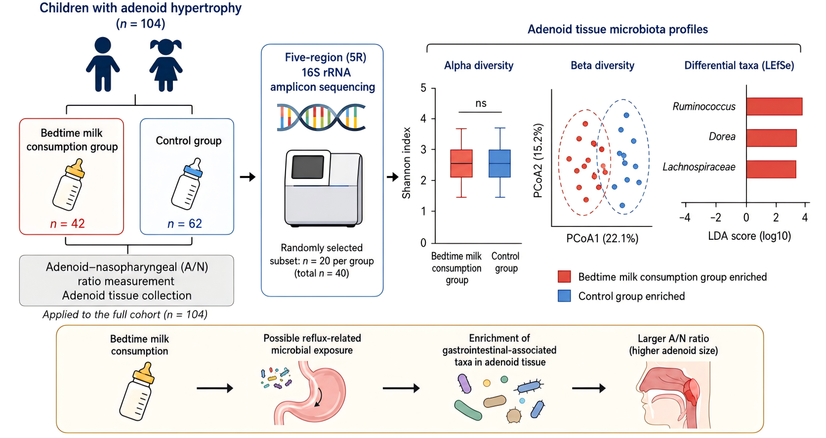 Graphical abstract